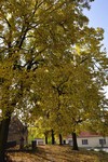 Podzimní krásy z Hlíny - foto Jan Rybníček